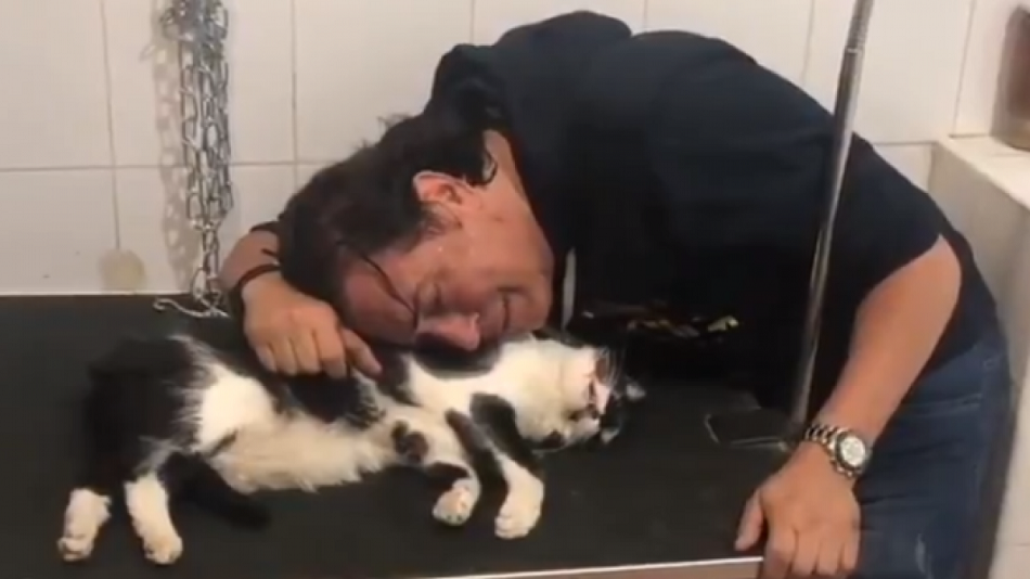 Aluvión de críticas a Pipi Estrada por grabarse junto a su gato muerto: «Es demencial»