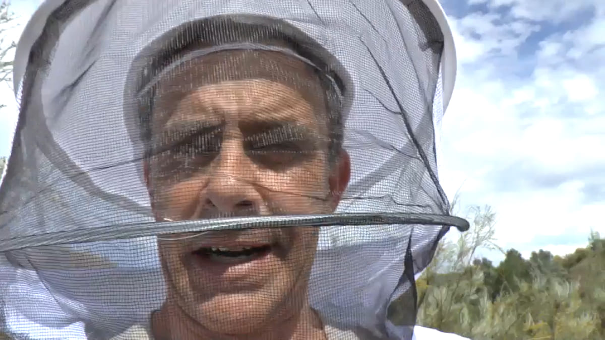 Alonso Caparrós se estrena como apicultor. 