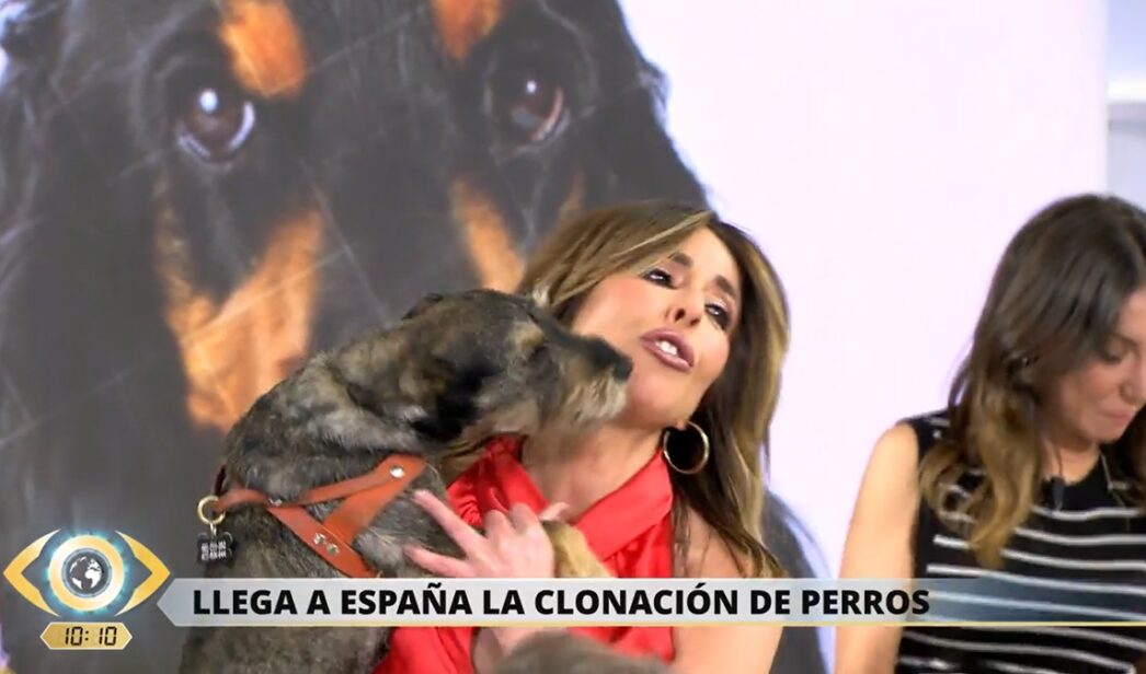 Ana Terradillos con su perro Trufa en 'La mirada crítica'.