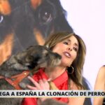 Ana Terradillos con su perro Trufa en 'La mirada crítica'.