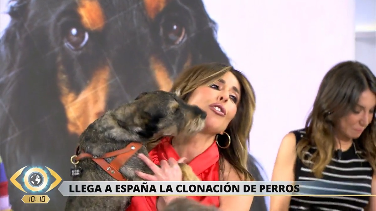 Ana Terradillos con su perro Trufa en 'La mirada crítica'.