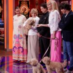 Anabel Alonso, Bibiana Fernández, el jurado junto a perros en 'MasterChef Celebrity'.