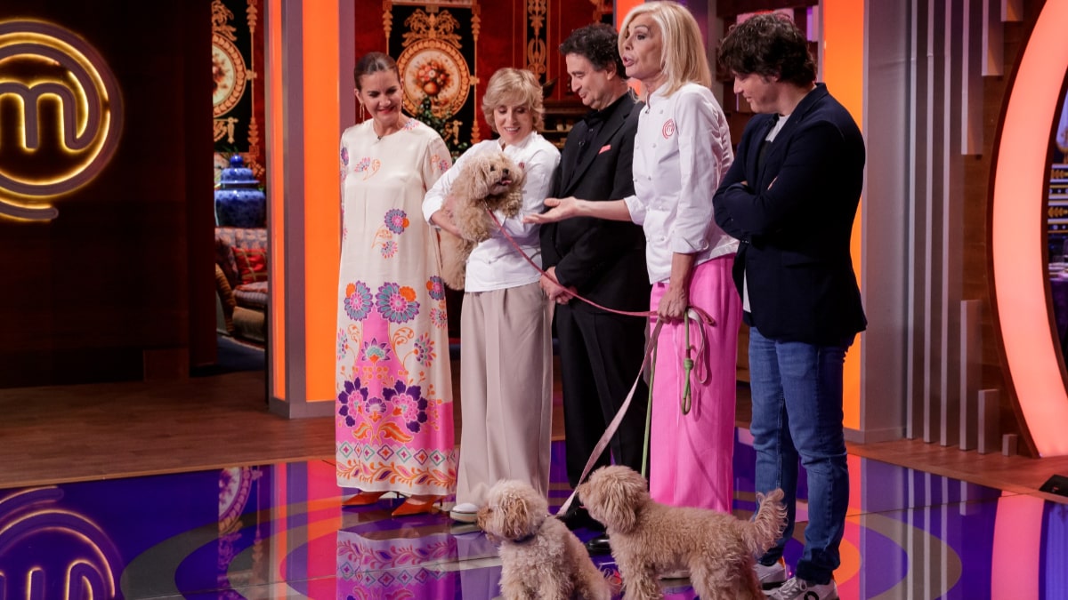 Anabel Alonso, Bibiana Fernández, el jurado junto a perros en 'MasterChef Celebrity'.