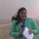 reportera de 'Informativos Telecinco'.
