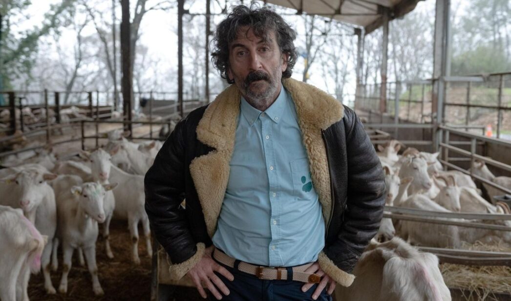 Luis Zahera Animal