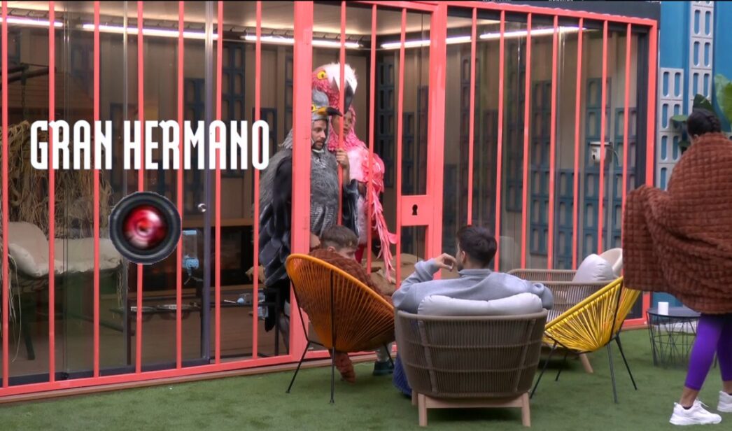 Imagen del canal 24 h de 'GH 20'.