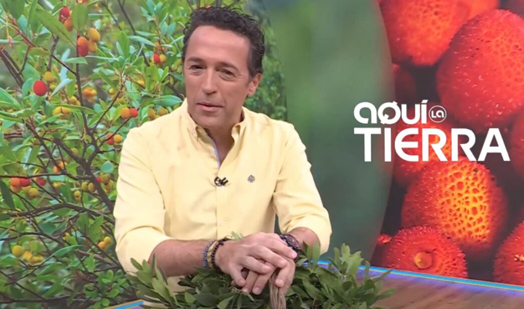 Jacob Petrus en 'Aquí la tierra'.
