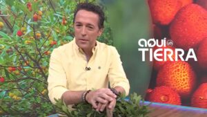 Jacob Petrus en 'Aquí la tierra'.