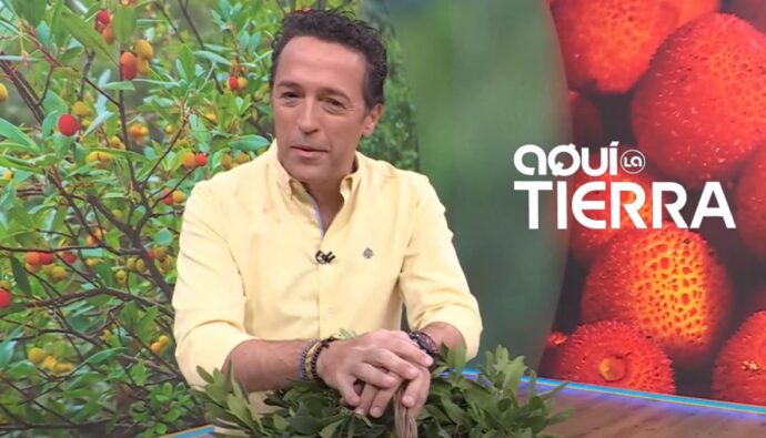 Jacob Petrus en 'Aquí la tierra'.