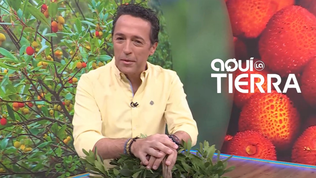 Jacob Petrus en 'Aquí la tierra'.