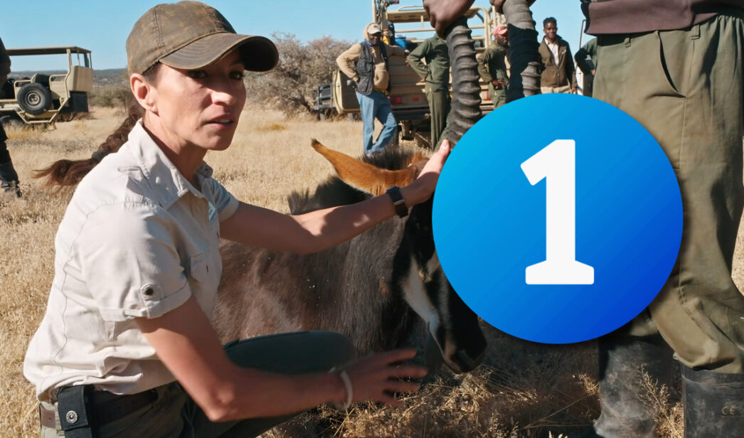 'Dra. Fabiola Jones' y el logo de La 1 de RTVE