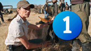 'Dra. Fabiola Jones' y el logo de La 1 de RTVE