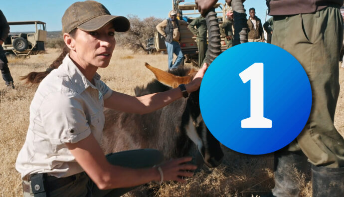 'Dra. Fabiola Jones' y el logo de La 1 de RTVE