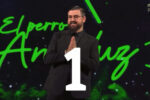 Cambios de programación en RTVE: La 1 anuncia qué oferta sustituirá a 'El perro andaluz' tras paralizar sus emisiones